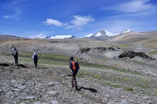 TREKKING IN LADAKH | CHANGTANG 2017